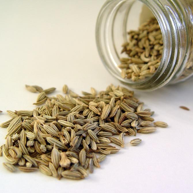 FENNEL SEEDS