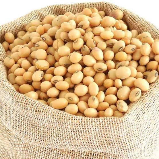 SOYA BEANS