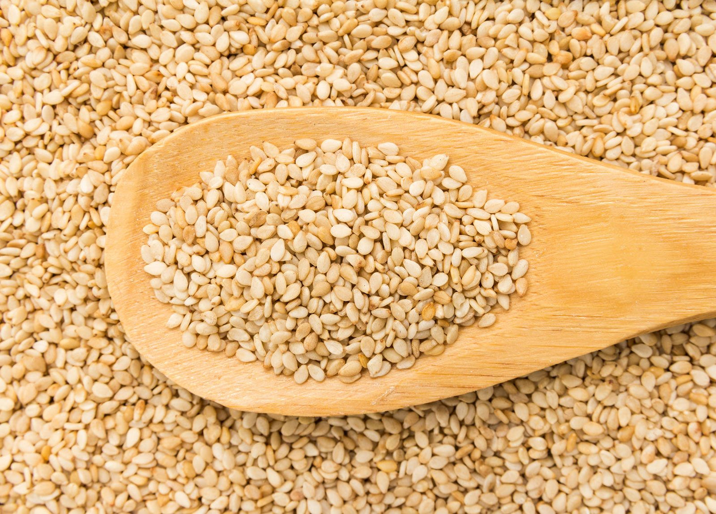 SESAME SEEDS