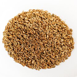 CAROM SEEDS