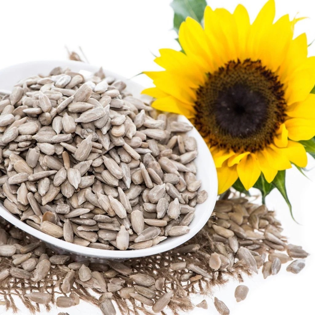 SUNFLOWER SEEDS